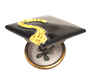 Graduation Cap-professional graduation-CH6D234