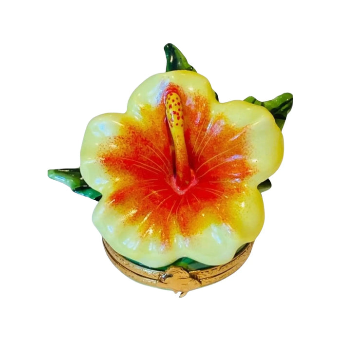 Hibiscus Elegance for Home Décor Porcelain Limoges Beach ocean Travel French Trinket Box