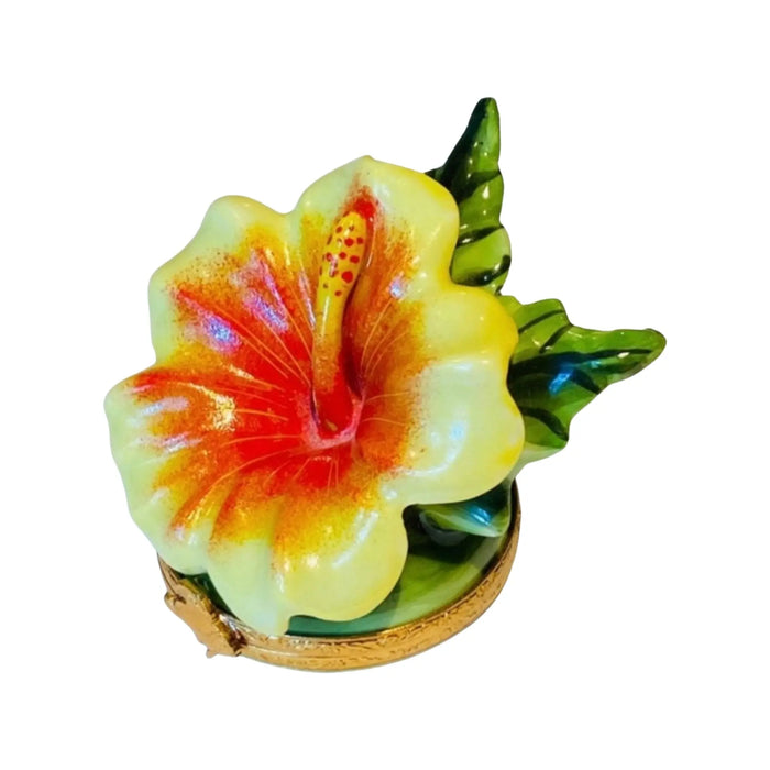 Hibiscus Elegance for Home Décor Porcelain Limoges Beach ocean Travel French Trinket Box