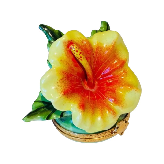 Hibiscus Elegance for Home Décor Porcelain Limoges Beach ocean Travel French Trinket Box