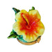 Hibiscus Elegance for Home Décor Porcelain Limoges Beach ocean Travel French Trinket Box