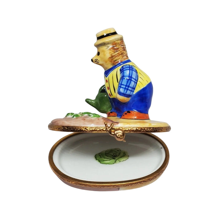 Hedgehog Decor for Garden Lovers Porcelain Limoges bug critters French Trinket Box