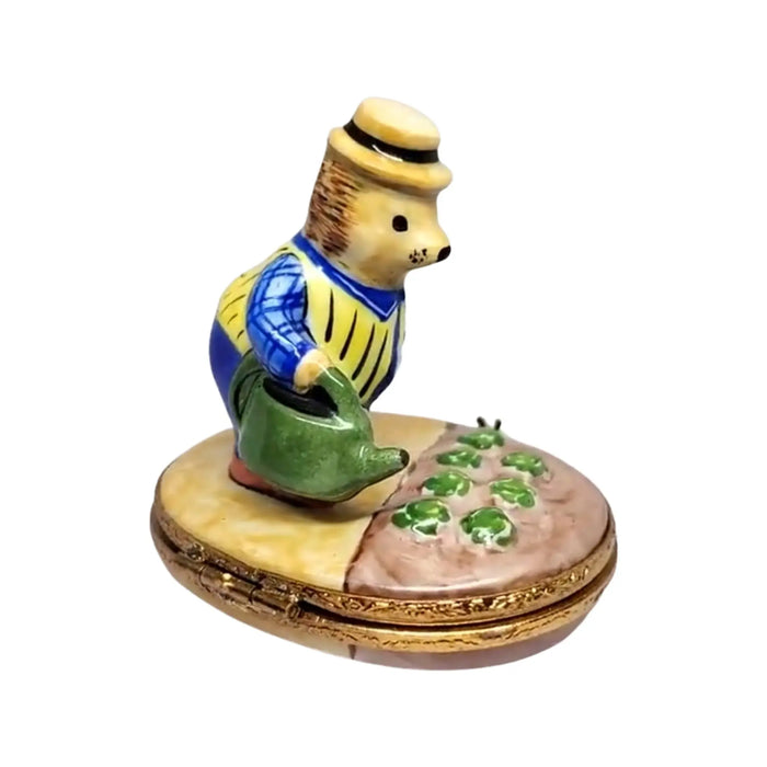 Hedgehog Decor for Garden Lovers Porcelain Limoges bug critters French Trinket Box