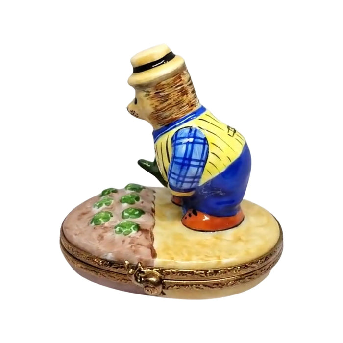 Hedgehog Decor for Garden Lovers Porcelain Limoges bug critters French Trinket Box