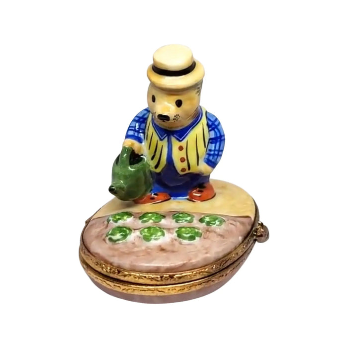 Hedgehog Decor for Garden Lovers Porcelain Limoges bug critters French Trinket Box