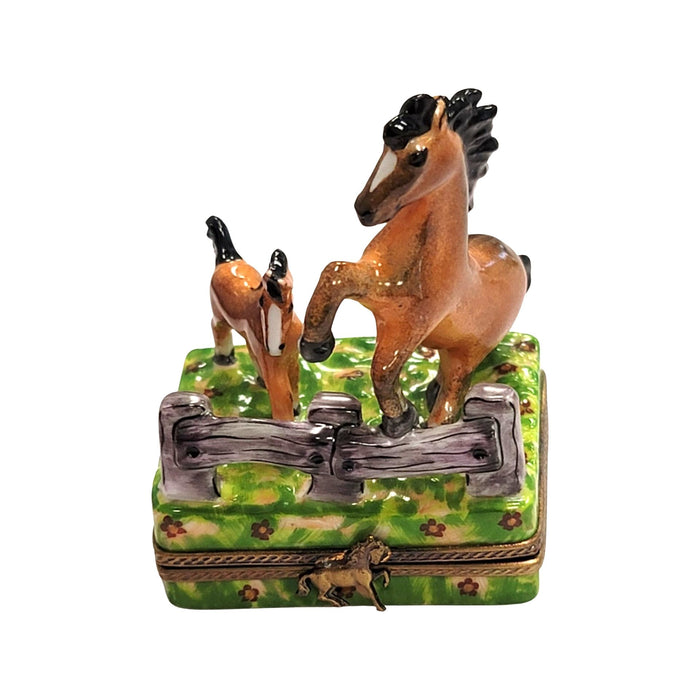 Horses in Meadow Limoges Box for Equestrian Enthusiasts Porcelain Limoges horse French Trinket Box