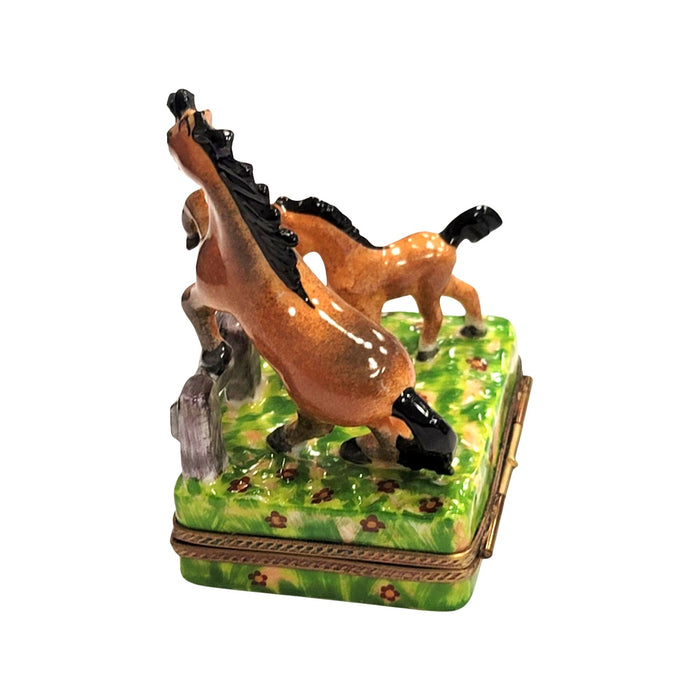 Horses in Meadow Limoges Box for Equestrian Enthusiasts Porcelain Limoges horse French Trinket Box