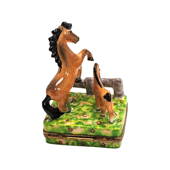 Horses in Meadow Limoges Box for Equestrian Enthusiasts Porcelain Limoges horse French Trinket Box