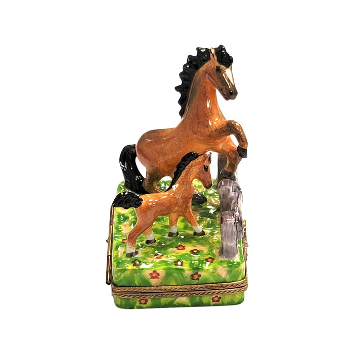 Horses in Meadow Limoges Box for Equestrian Enthusiasts Porcelain Limoges horse French Trinket Box