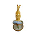 Kangaroo Limoges Box Treasure Porcelain Limoges wild animal French Trinket Box