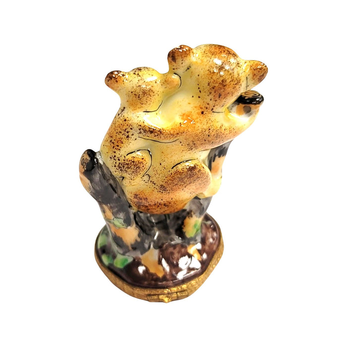 Koala Bear Family Keepsake for Animal Lovers Porcelain Limoges bear wild animal French Trinket Box
