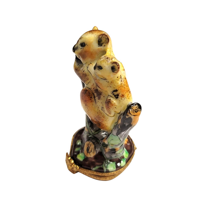 Koala Bear Family Keepsake for Animal Lovers Porcelain Limoges bear wild animal French Trinket Box