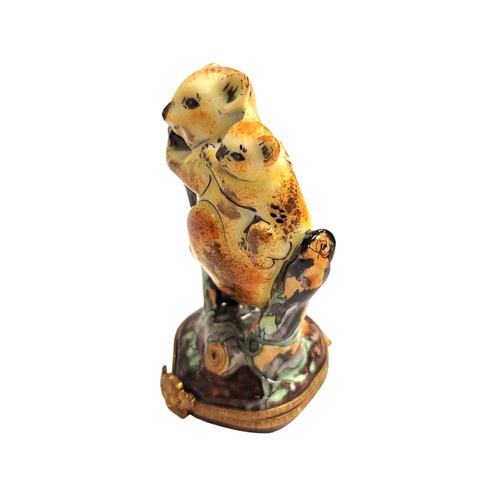 Koala Bear Family Keepsake for Animal Lovers Porcelain Limoges bear wild animal French Trinket Box