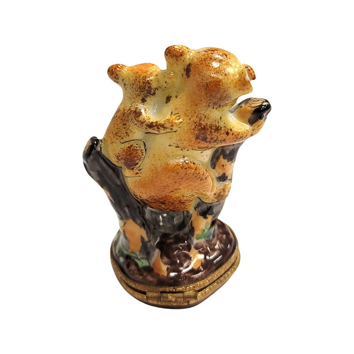 Koala Bear Family Keepsake for Animal Lovers Porcelain Limoges bear wild animal French Trinket Box