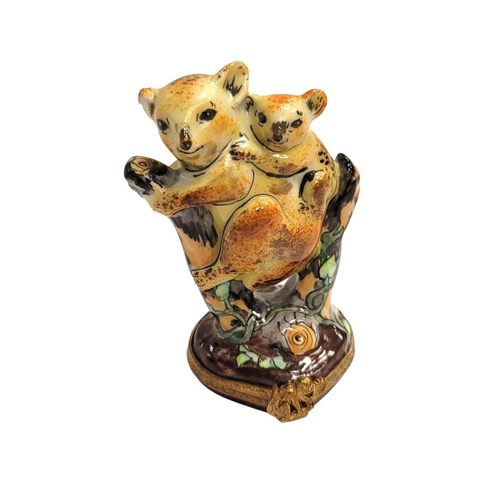 Koala Bear Family Keepsake for Animal Lovers Porcelain Limoges bear wild animal French Trinket Box