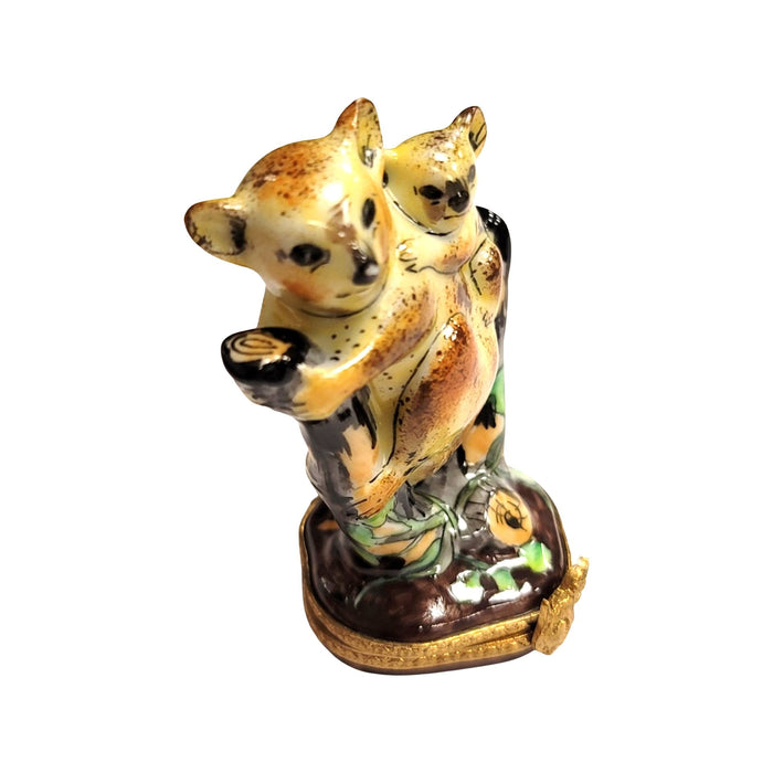 Koala Bear Family Keepsake for Animal Lovers Porcelain Limoges bear wild animal French Trinket Box