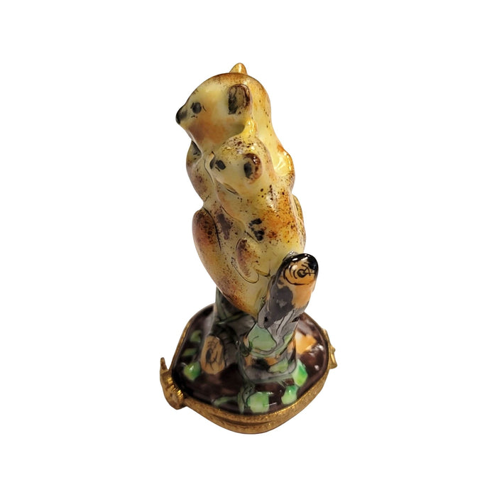 Koala Bear Family Keepsake for Animal Lovers Porcelain Limoges bear wild animal French Trinket Box