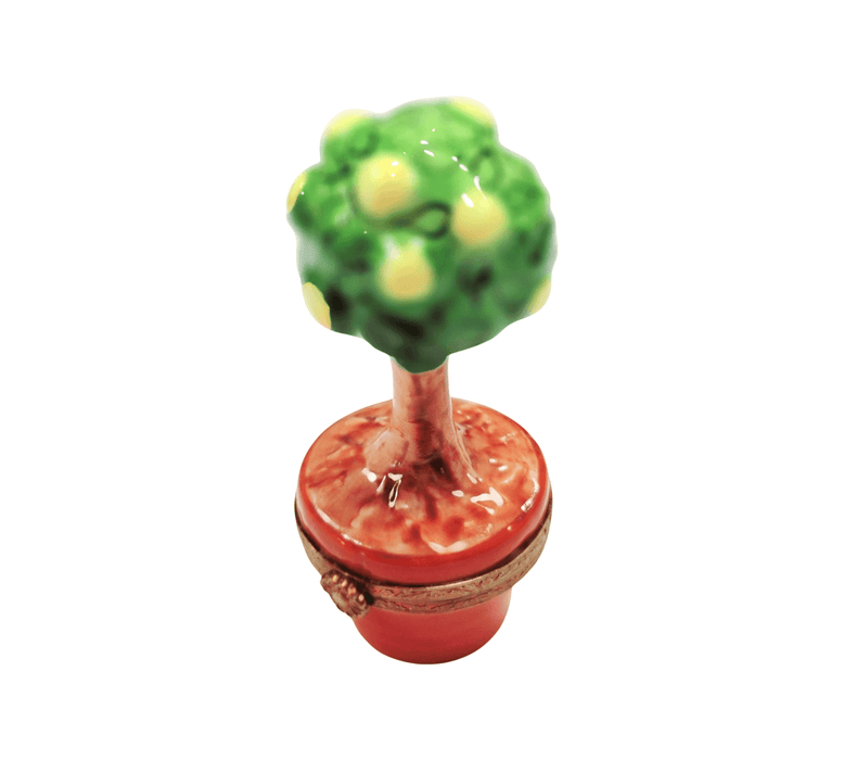 Lemon Tree Limoges Box Delight for Collectors Porcelain Limoges fruit garden French Trinket Box