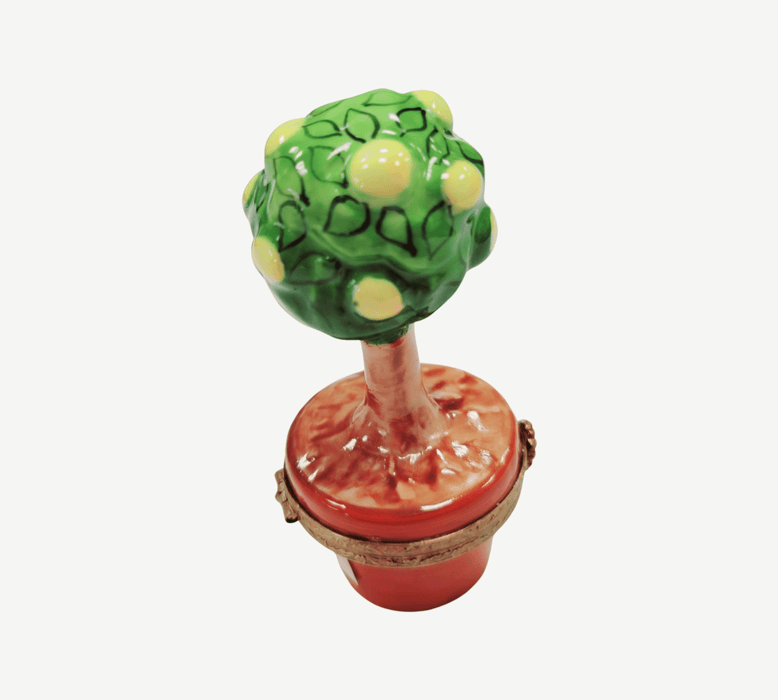 Lemon Tree Limoges Box Delight for Collectors Porcelain Limoges fruit garden French Trinket Box