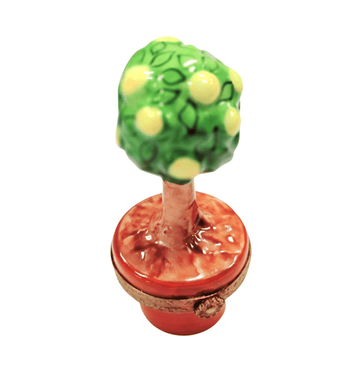 Lemon Tree Limoges Box Delight for Collectors Porcelain Limoges fruit garden French Trinket Box