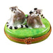 Lemur Monkey Limoges Box for Wildlife Lovers Porcelain Limoges wild animals travel French Trinket Box