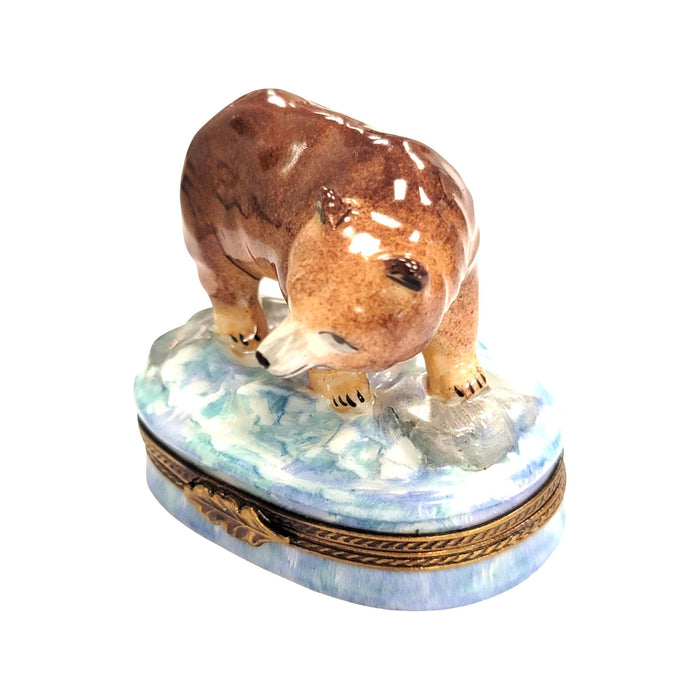 Majestic Brown Bear Limoges Box for Nature Lovers Porcelain Limoges bear French Trinket Box