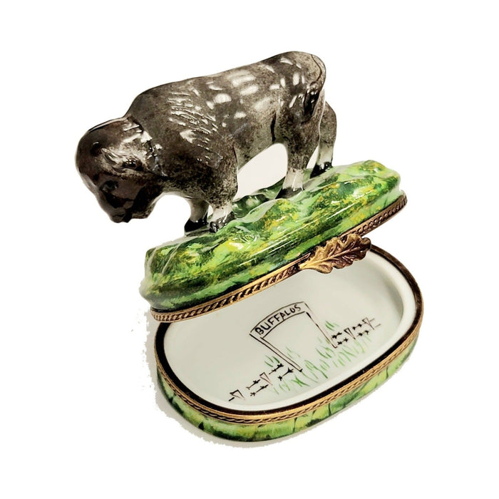 Hand-painted Buffalo Limoges box, French artistry for lovers of fine art