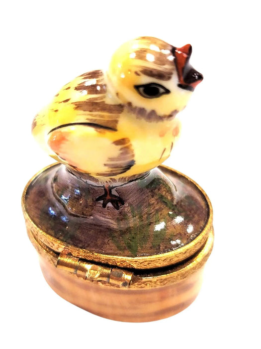 Mini Chick Limoges Box for Collectors Porcelain Limoges farm birds LIMOGES BOXES French Trinket Box
