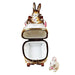 Mother Rabbit Rocker for Baby Shower Porcelain Limoges mother rabbit baby kids French Trinket Box