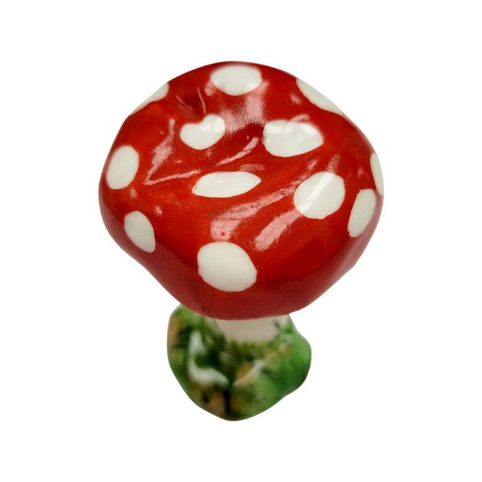 Mushroom-fruit vegetables-CH6D118