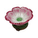 Open Flower Bud-valentine rose garden-CH6D208
