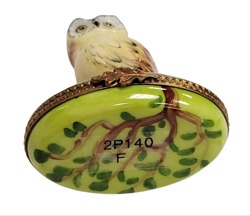 Owl Limoges Box Porcelain Figurine-bird-CH2P140