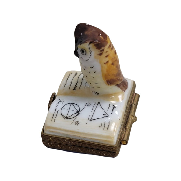 Owl Elegance for Collectors Porcelain Limoges bird wild bird pwl French Trinket Box