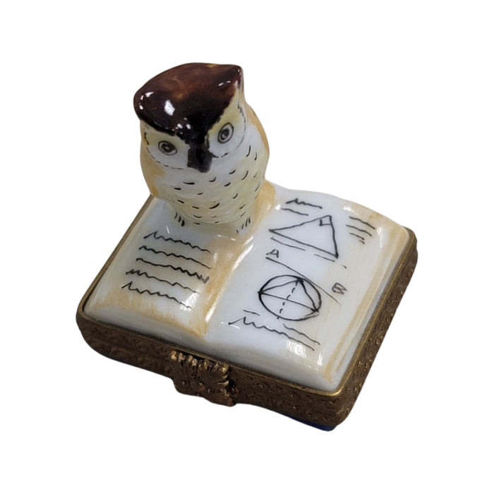 Owl Elegance for Collectors Porcelain Limoges bird wild bird pwl French Trinket Box