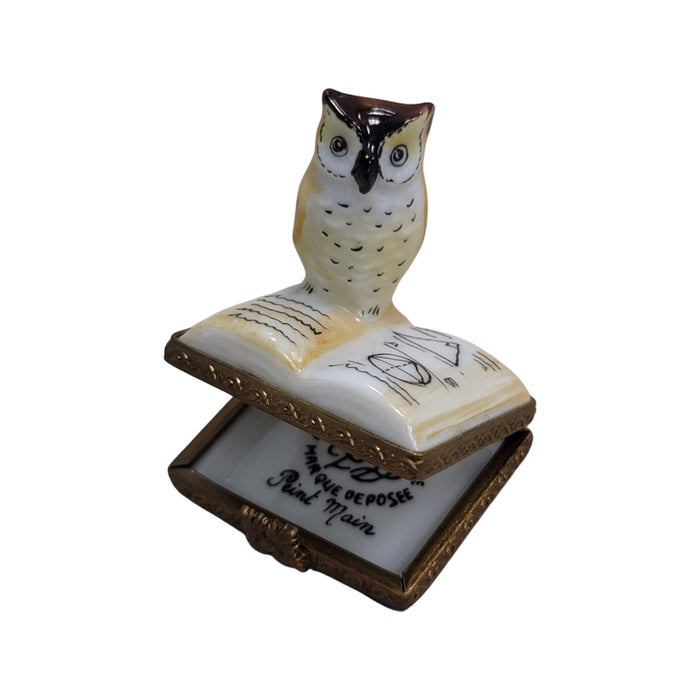 Owl on Book Limoges Box Porcelain Figurine-bird wild bird pwl-CH2P231