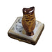Owl on Book Limoges Box Porcelain Figurine-bird wild bird pwl-CH2P231