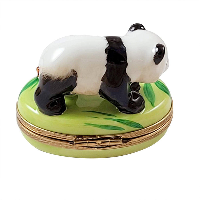 Panda Bear Limoges Box for Wildlife Lovers Porcelain Limoges bear World Travel French Trinket Box