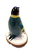 Penguin Delight for Collectors Porcelain Limoges winter wild birds French Trinket Box