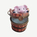 Pig in Wash Bucket-Limoges Box pig farm-CH2P315