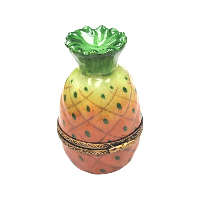 Pineapple-fruit vegetables-CH6D215