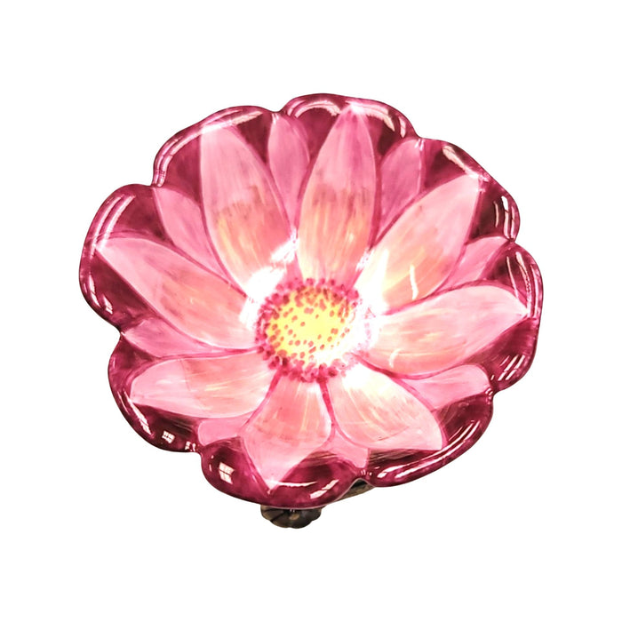 Pink Open Flower Bud-valentine rose garden-CH6D206