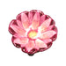 Pink Open Flower Bud-valentine rose garden-CH6D206
