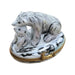 Polar Bear and Cub Elegance for Collectors Porcelain Limoges bear wild animal French Trinket Box