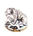 Polar Bear and Cub Elegance for Collectors Porcelain Limoges bear wild animal French Trinket Box