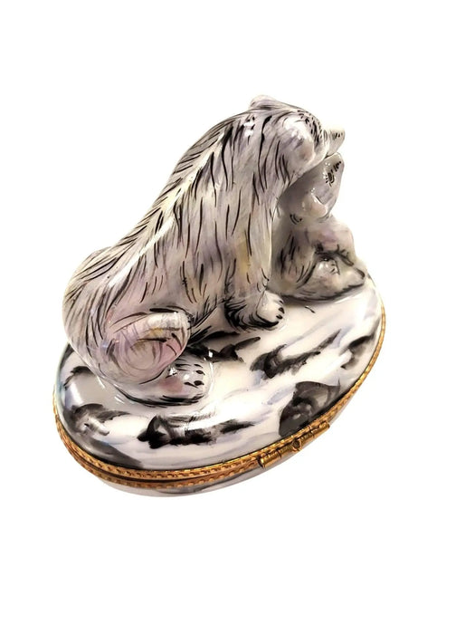 Polar Bear and Cub Elegance for Collectors Porcelain Limoges bear wild animal French Trinket Box
