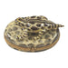 HORNED TOAD Authentic Limoges Box