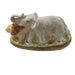 African Animals Limoges Box for Wildlife Lovers Porcelain Limoges Wild Animals French Trinket Box