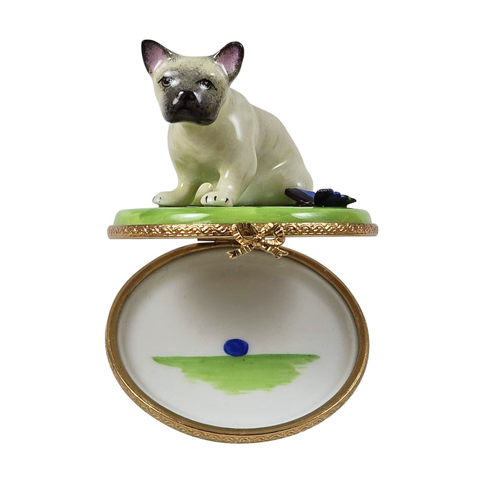 French Bulldog w Butterfly