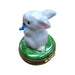 Rabbit Blue Watering Can-mice rabbit limoges boxes garden flowers-CH6D149