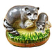 Raccoon Family Limoges Box for Collectors Porcelain Limoges mother wild Rochard Limoges Box French Trinket Box